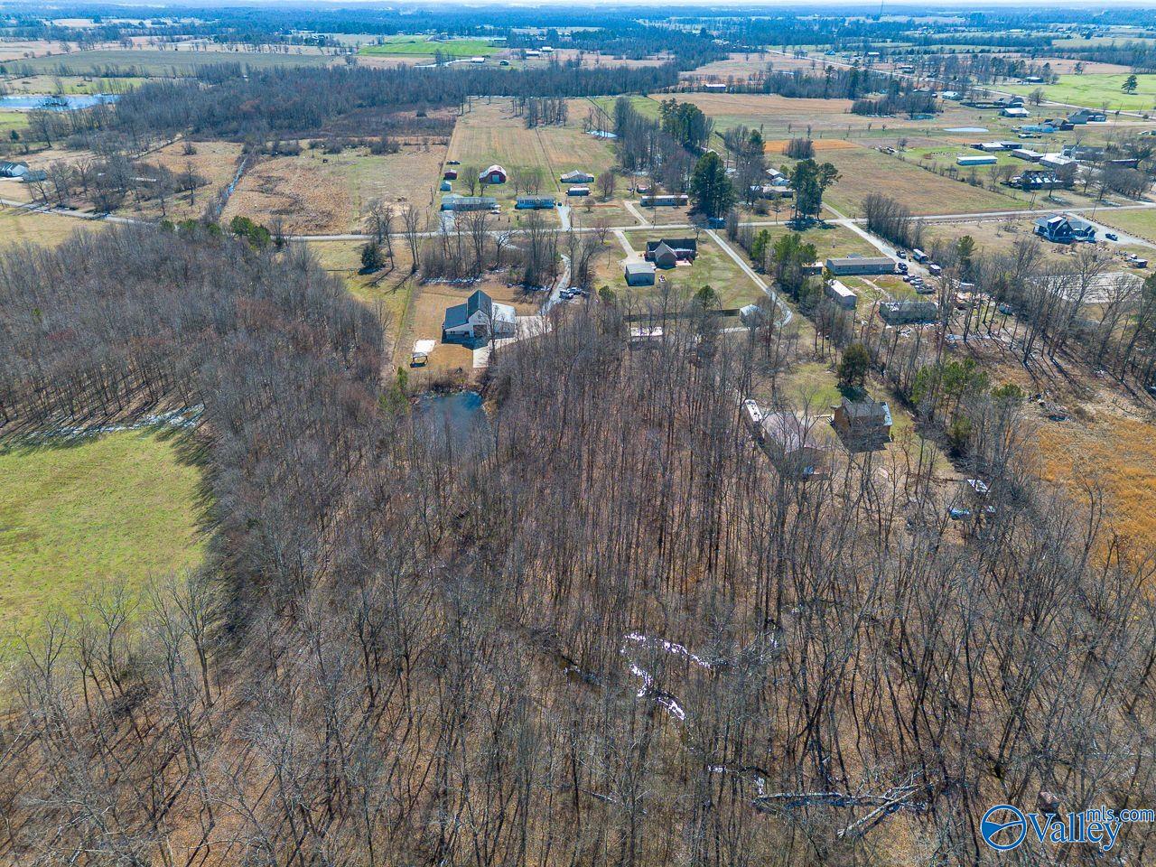12317 Quinn Road, Athens, Alabama image 13