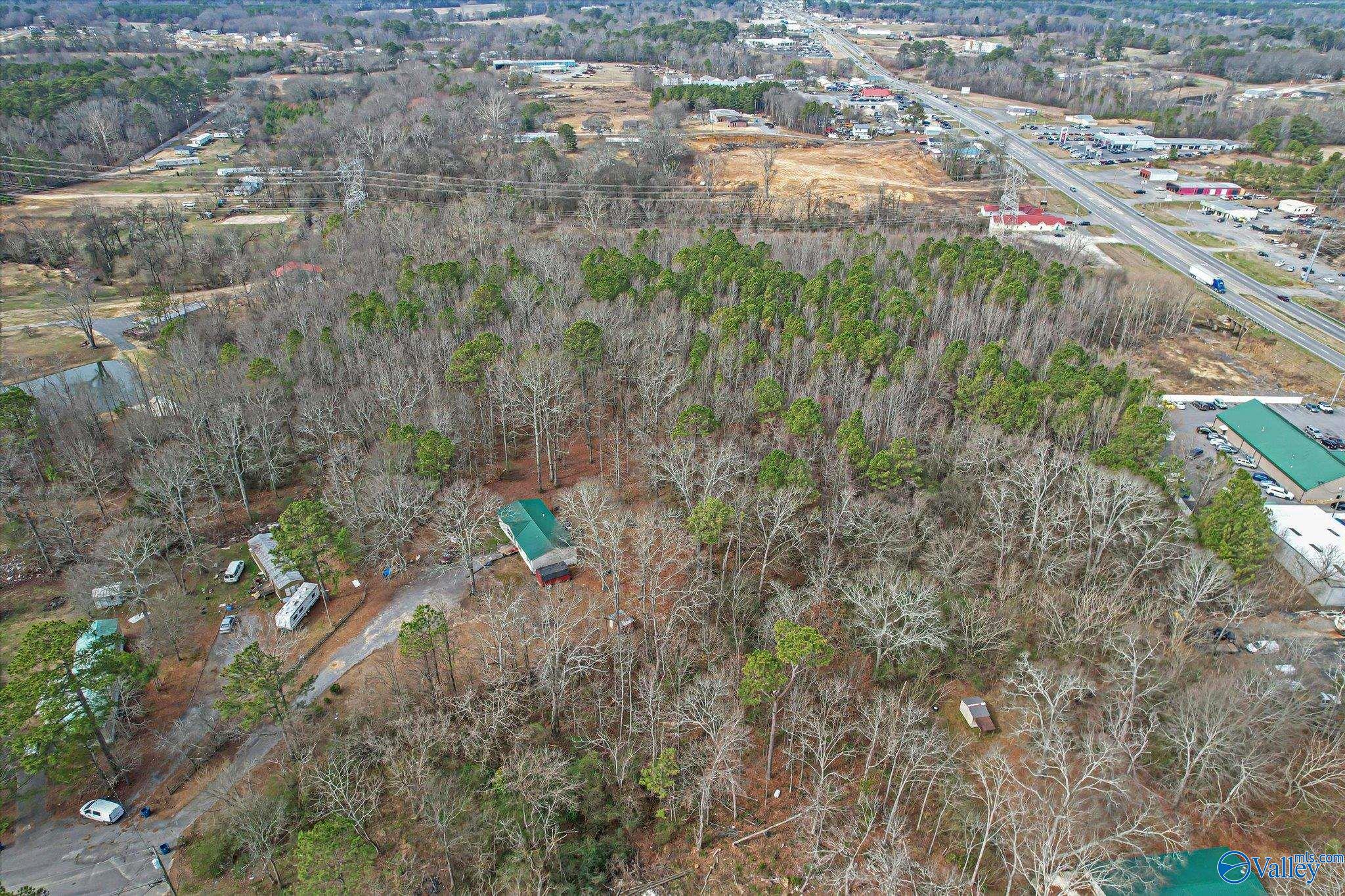 13.2 Acres Highway 431, Albertville, Alabama image 10