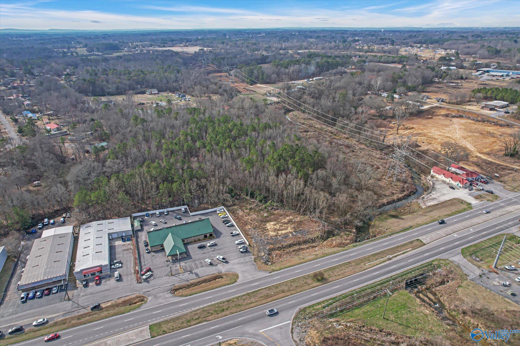 13.2 Acres Highway 431, Albertville, Alabama image 3