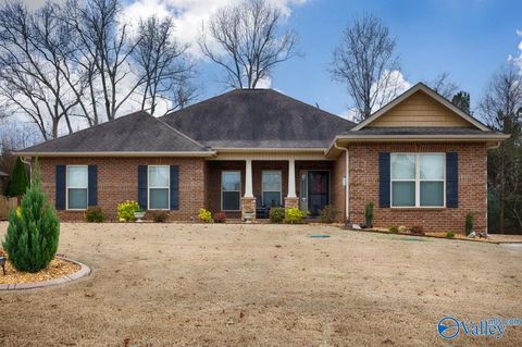 Photo of 108 Bilton Drive, Harvest, AL 35749 (MLS # 21905381)