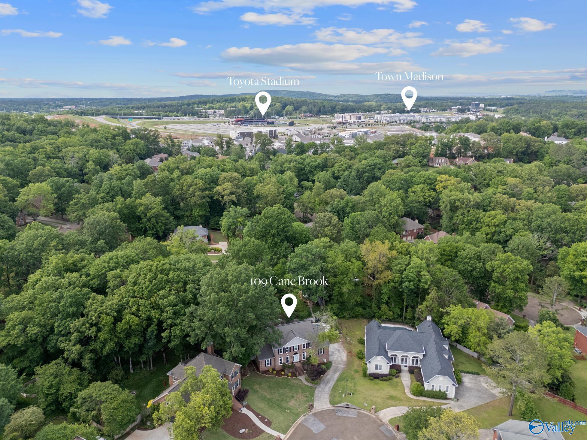 109 Cane Brook Court, Madison, Alabama image 46