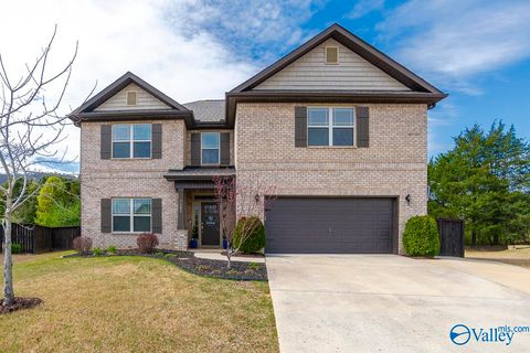 Photo of 7502 SE Colibri Circle, Owens Cross Roads, AL 35763 (MLS # 21912869)