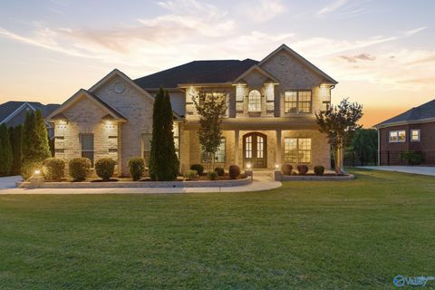 Homes For Sale - 105 Springhaven Drive<br/> Madison, AL 35757