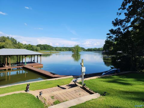 Vacant Land For Sale - 1157 County Road 567<br/> Gaylesville, AL 35973