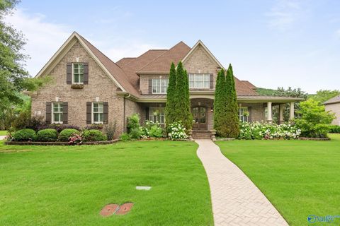 Photo of 50 Mcmullen Lane, Gurley, AL 35748 (MLS # 21919484)