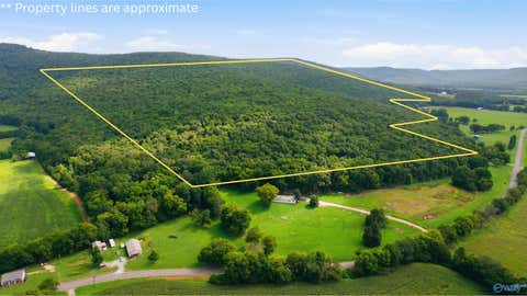 Vacant Land For Sale - 264 ACRES Alabama Highway 65<br/> Jackson County, Paint Rock, AL 35764