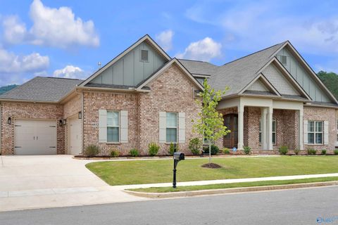 Homes For Sale - 6032 Peach Pond Way<br/> Owens Cross Roads, AL 35763