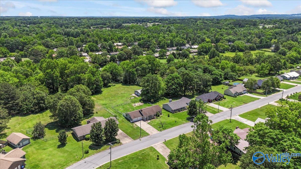 304 Ohara Drive, Albertville, Alabama image 9