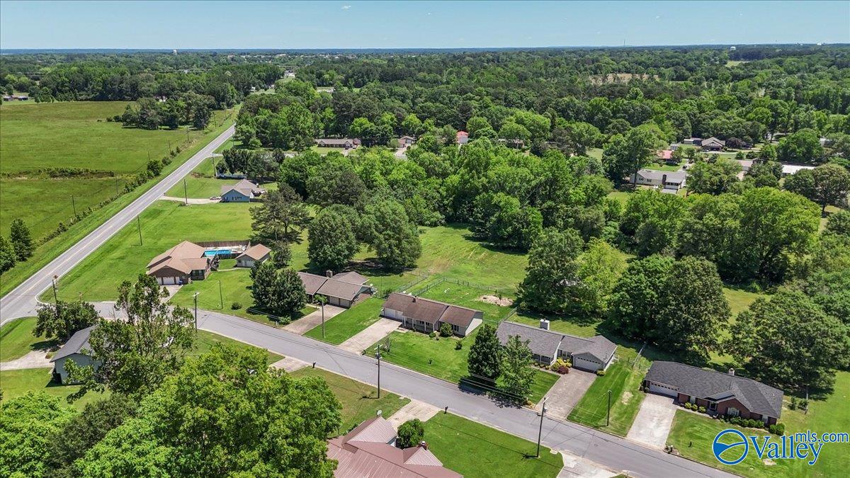 304 Ohara Drive, Albertville, Alabama image 10