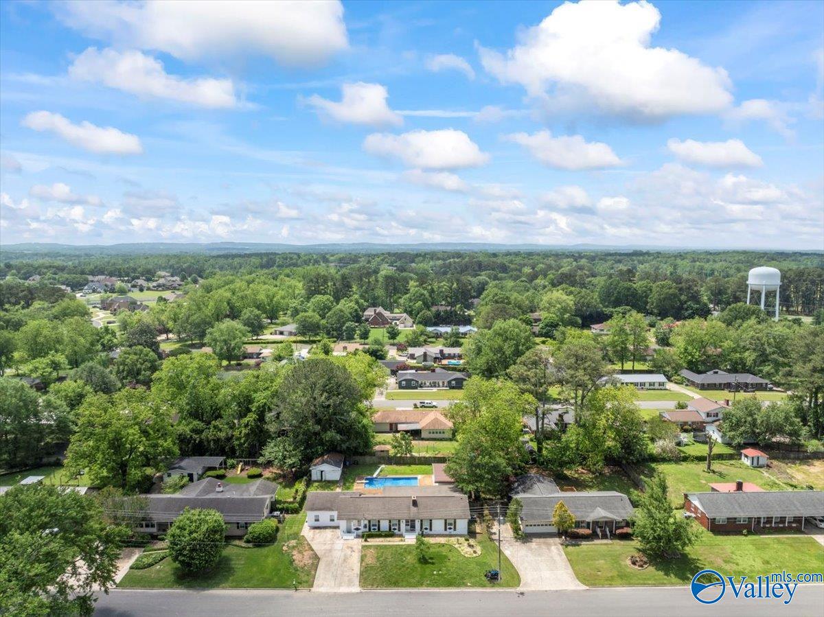 413 Peach Avenue, Albertville, Alabama image 7