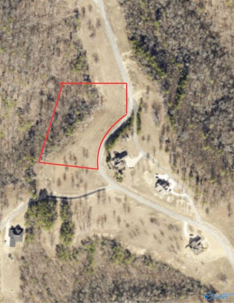 Vacant Land For Sale - LOT 4948 County Road 767<br/> Cedar Bluff, AL 35959