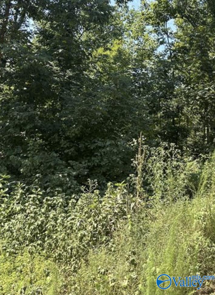 2.66 Acres Blackburn Road, Athens, Alabama image 1
