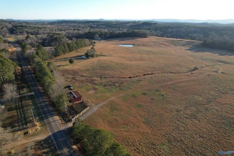 Vacant Land For Sale - 110 AC County Road 15<br/> Cherokee County, Gaylesville, AL 35972