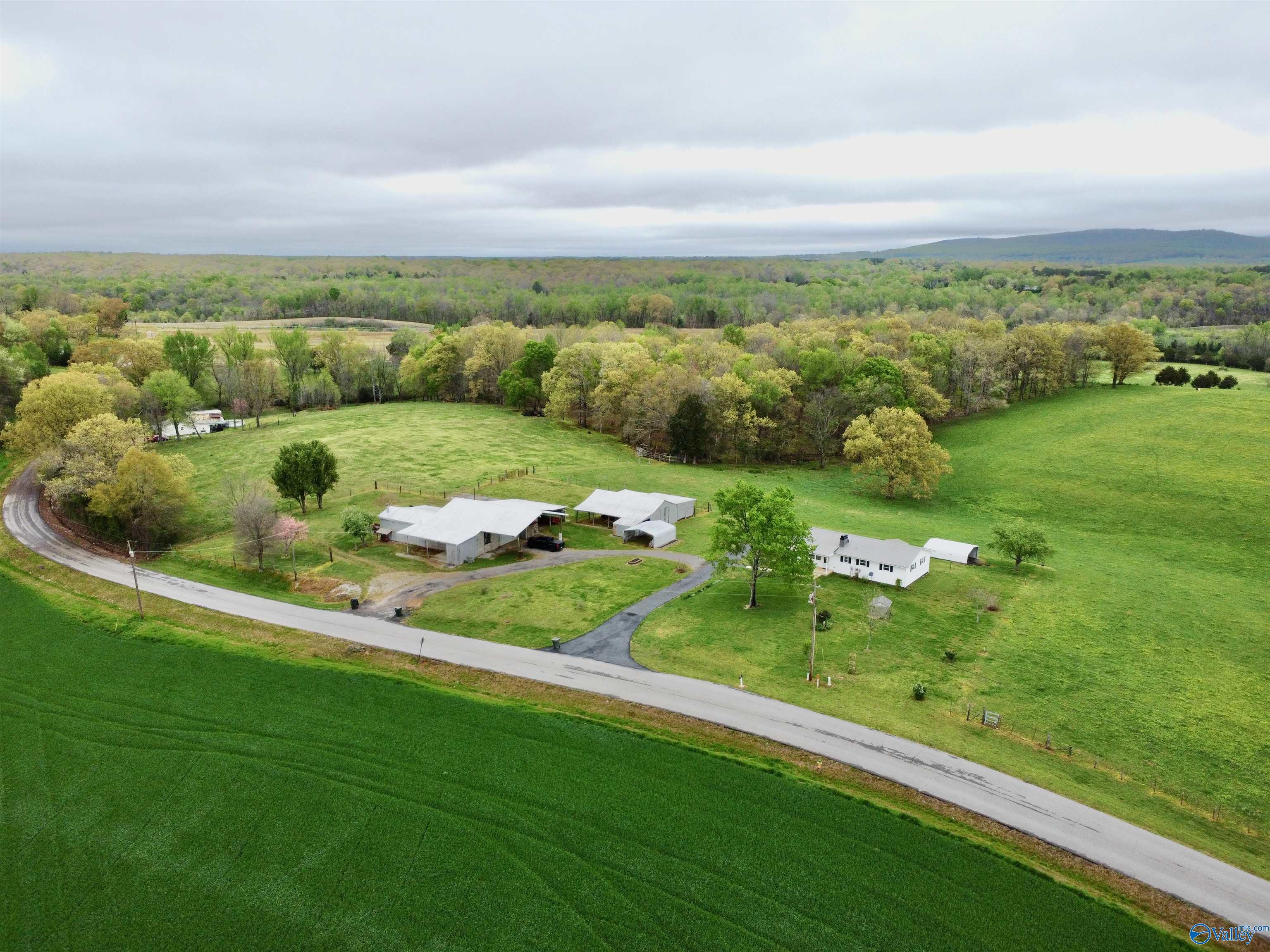 135 Mint Springs Road, New Market, Alabama image 1