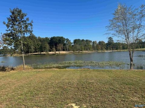 Vacant Land For Sale - 44 County Road 115<br/> Cherokee County, Cedar Bluff, AL 35959