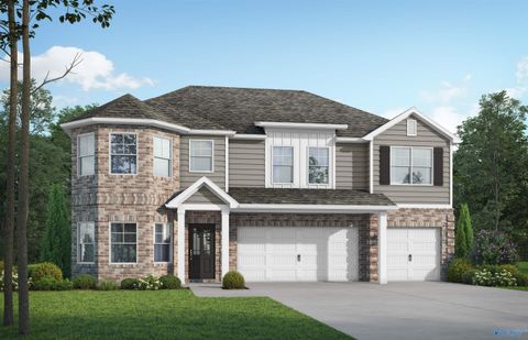 12445 NW Sun Ray Circle Madison AL 35756