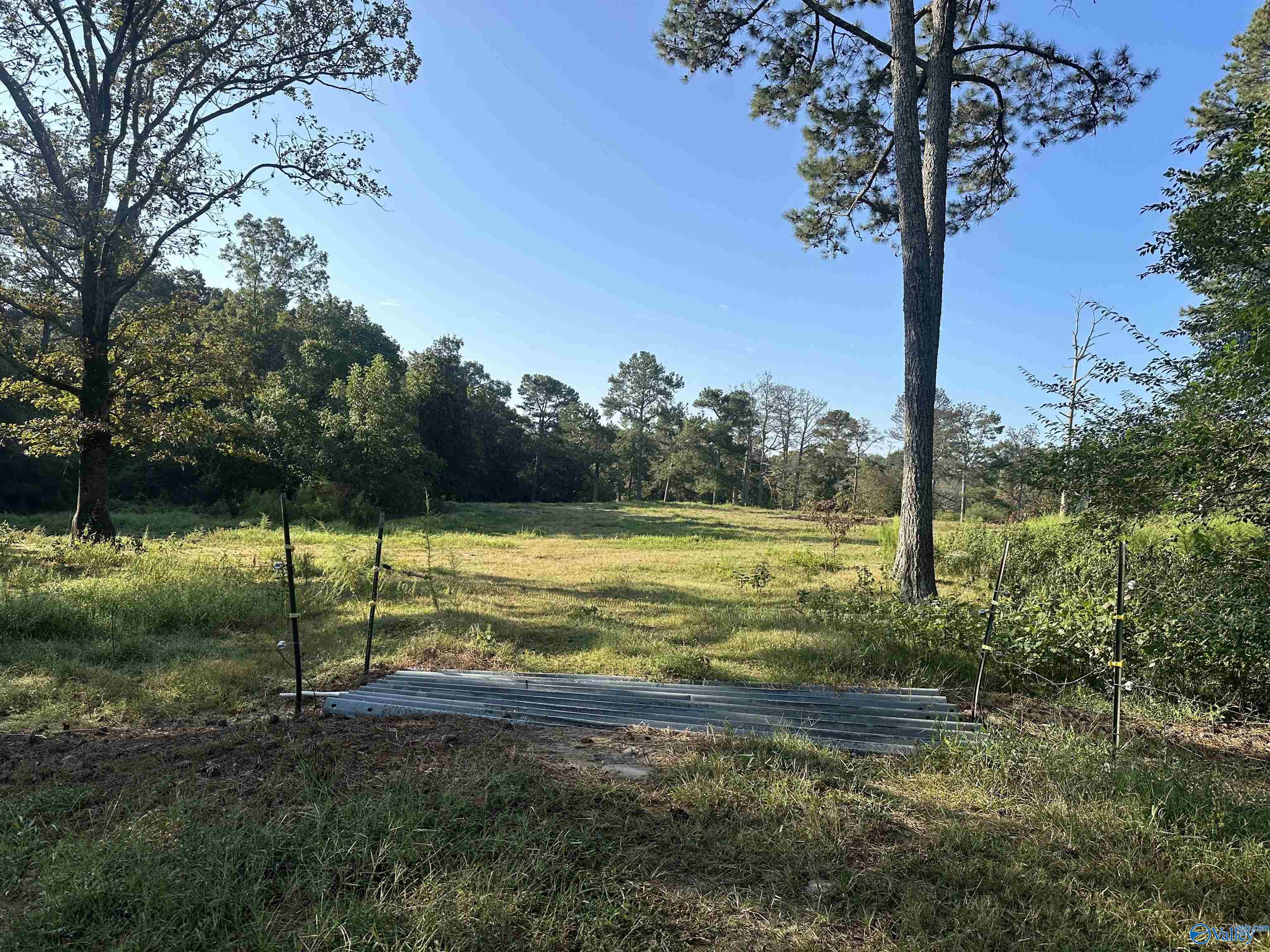 20 Acres County Road 432, Fyffe, Alabama image 11