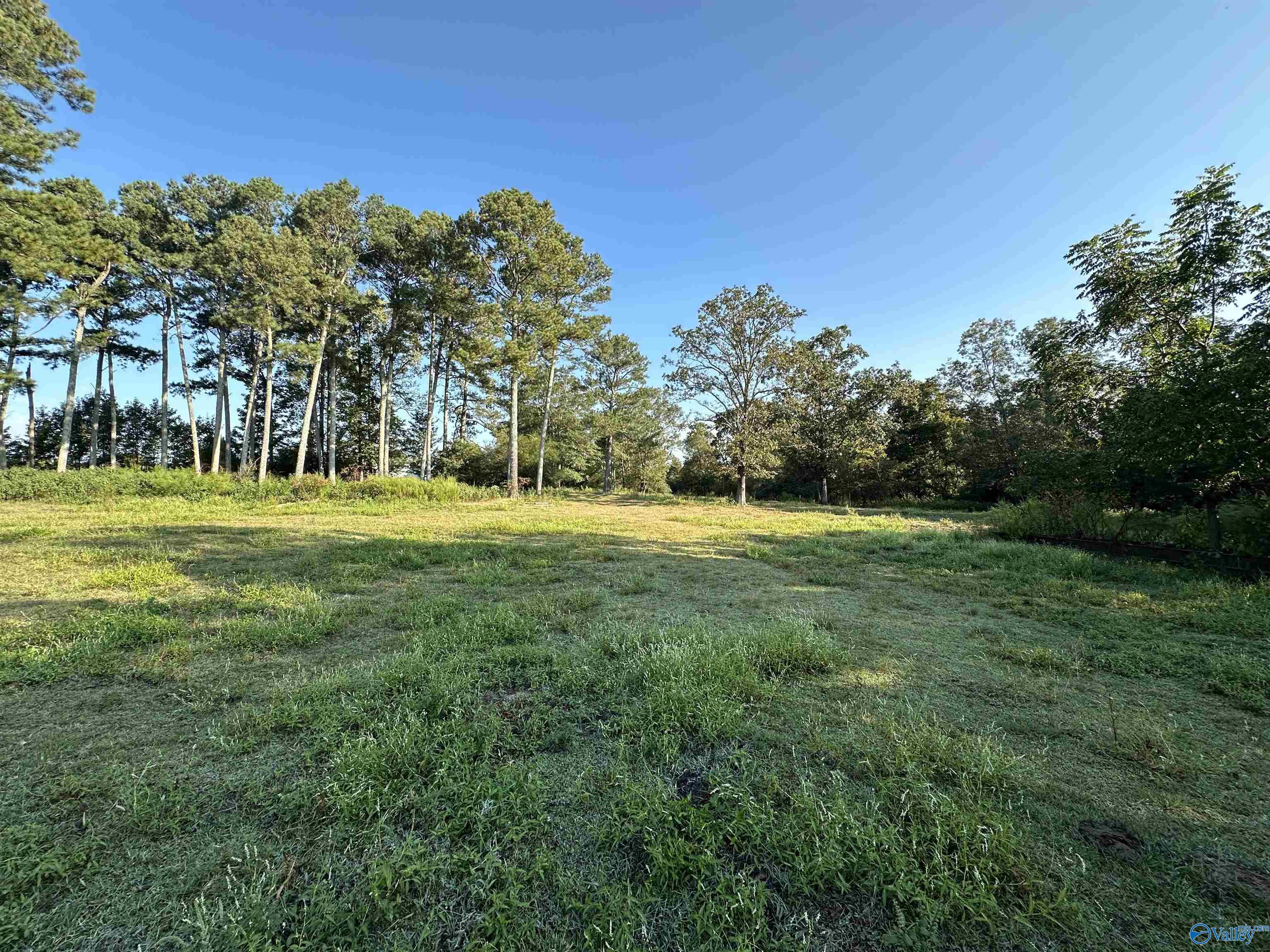 20 Acres County Road 432, Fyffe, Alabama image 9