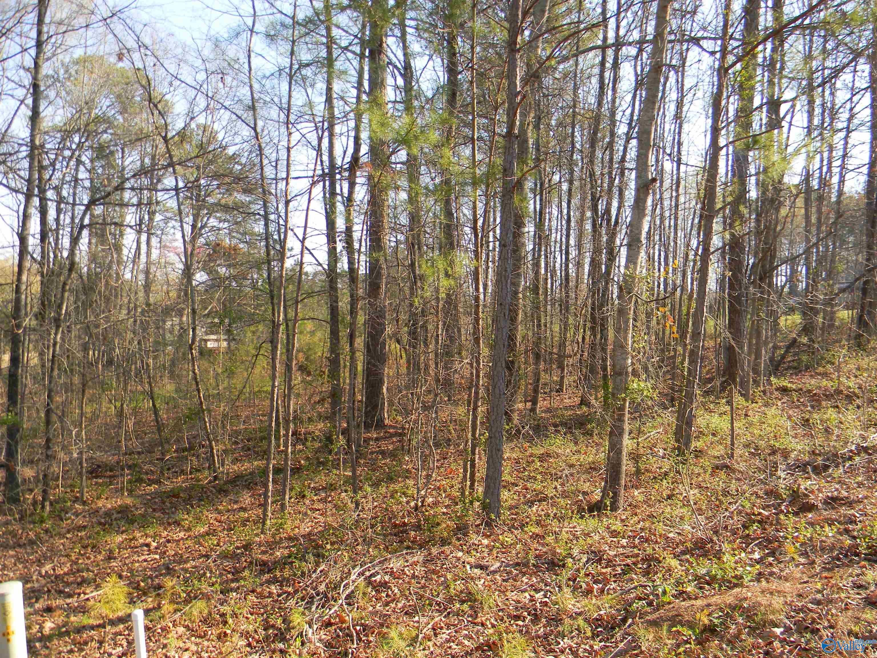 Lot 16 Cade Circle, Leesburg, Alabama image 5