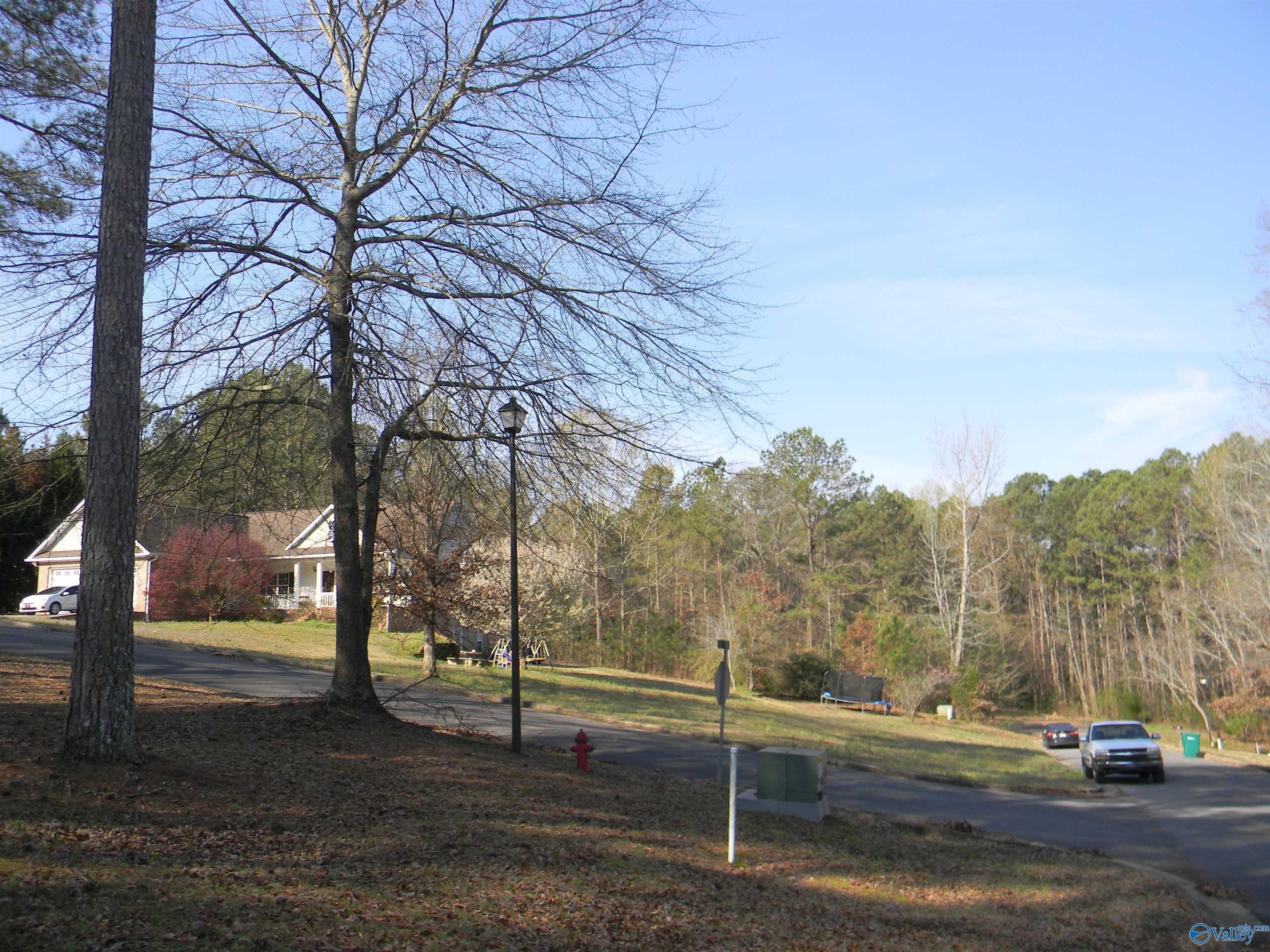 Lot 16 Cade Circle, Leesburg, Alabama image 8