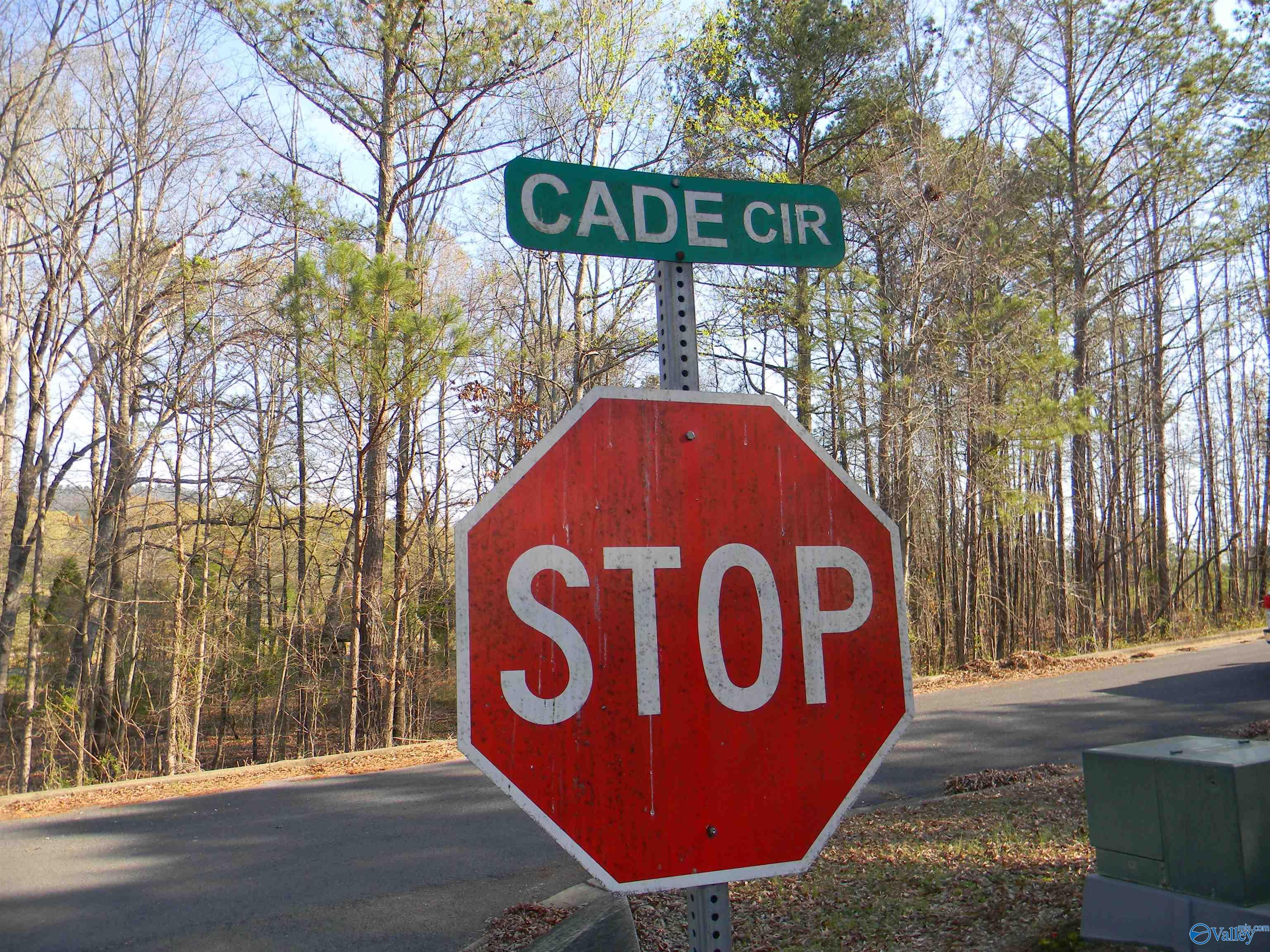 Lot 16 Cade Circle, Leesburg, Alabama image 3