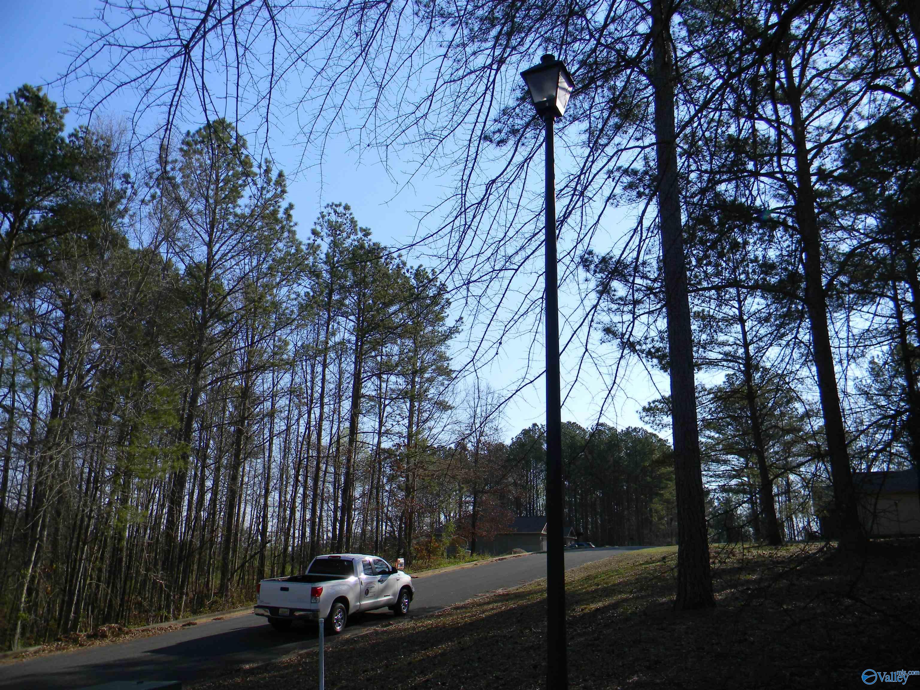 Lot 16 Cade Circle, Leesburg, Alabama image 7