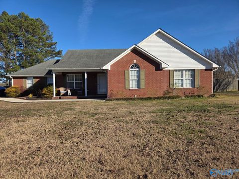 Photo of 128 County Road 496, Trinity, AL 35673 (MLS # 21905821)