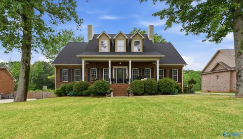 Photo of 237 Dove Hollow Drive, Meridianville, AL 35759 (MLS # 21917140)
