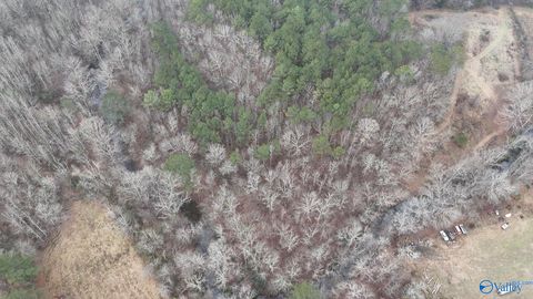 Vacant Land For Sale - 1 Sugarland Lake Resort<br/> Oneonta, AL 35121