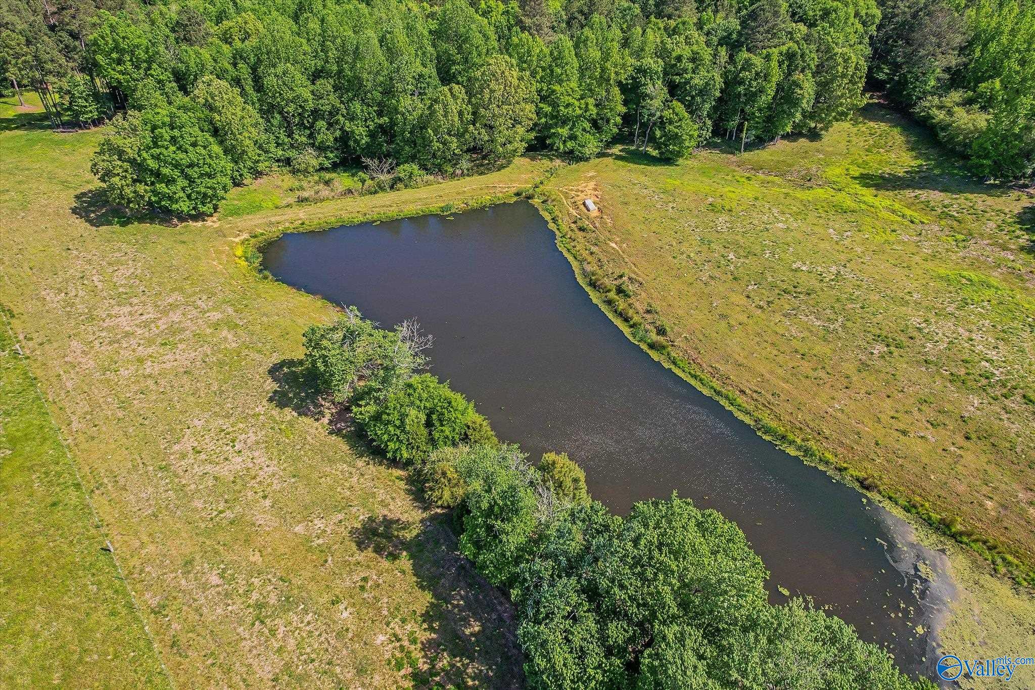 1657 Hamm Road, Blountsville, Alabama image 8