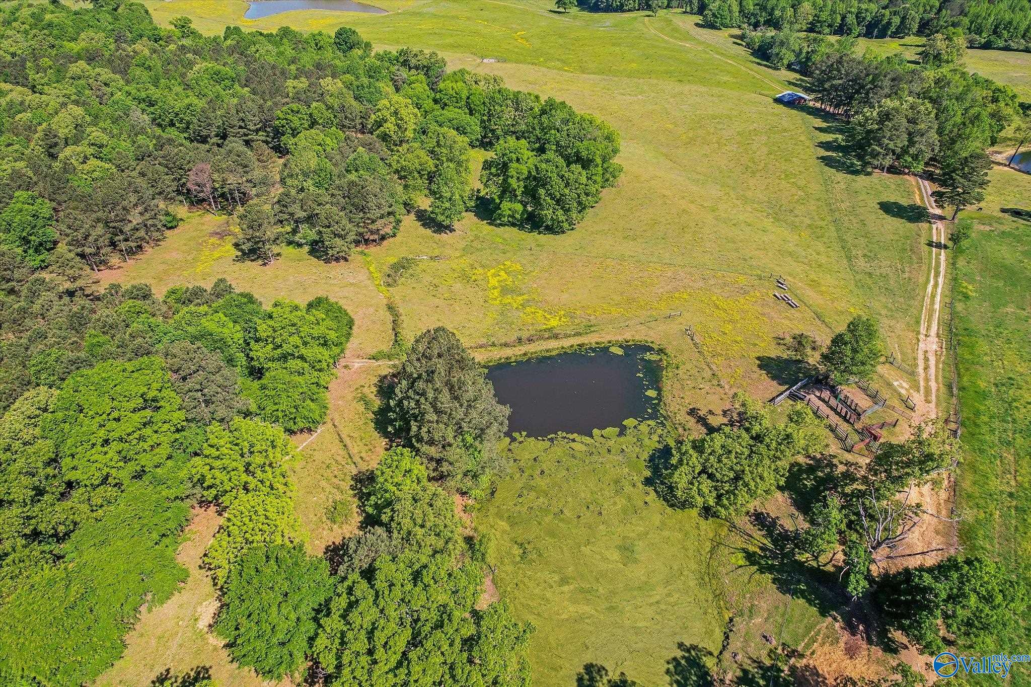 1657 Hamm Road, Blountsville, Alabama image 11
