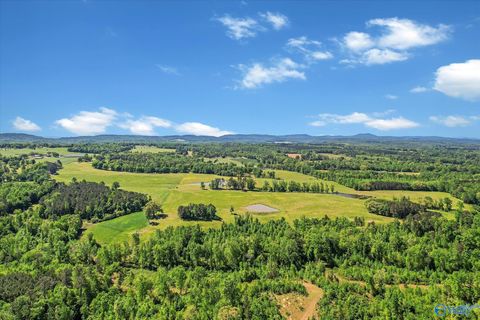 Vacant Land For Sale - 1657 Hamm Road<br/> Blountsville, AL 35031