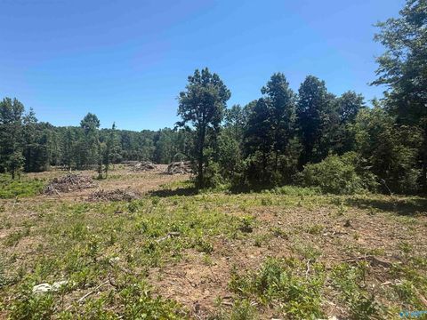 Vacant Land For Sale - 6 AC Bishop Mountain Road<br/> Grant, AL 35747