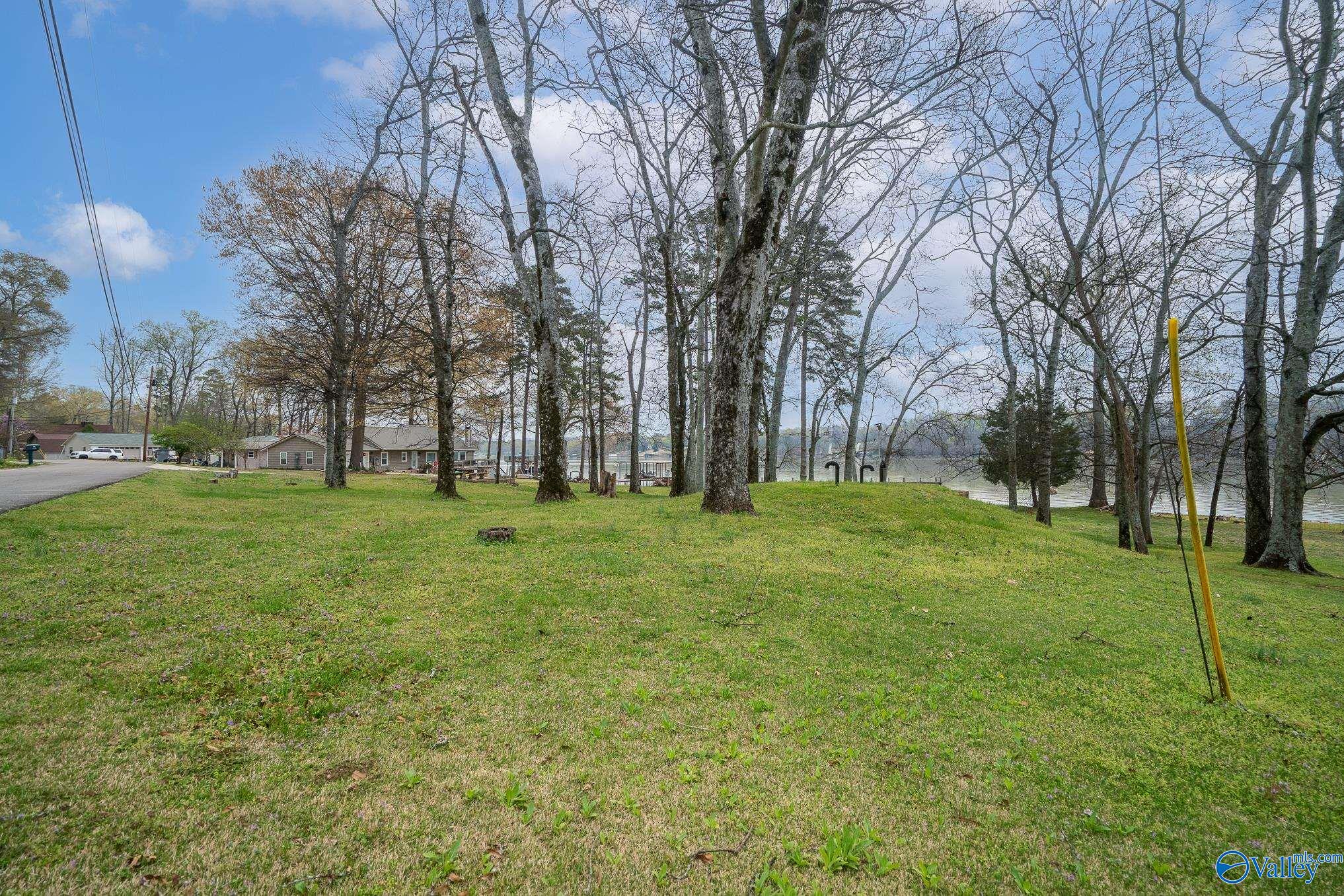 111 Elk River Shores Drive, Rogersville, Alabama image 32