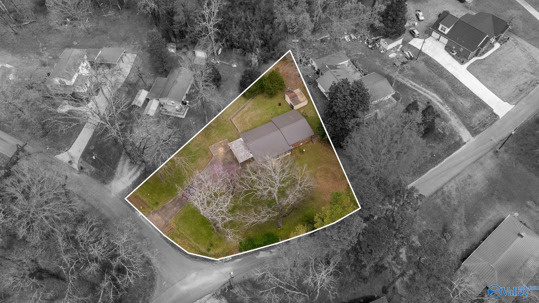 111 Elk River Shores Drive, Rogersville, Alabama image 24