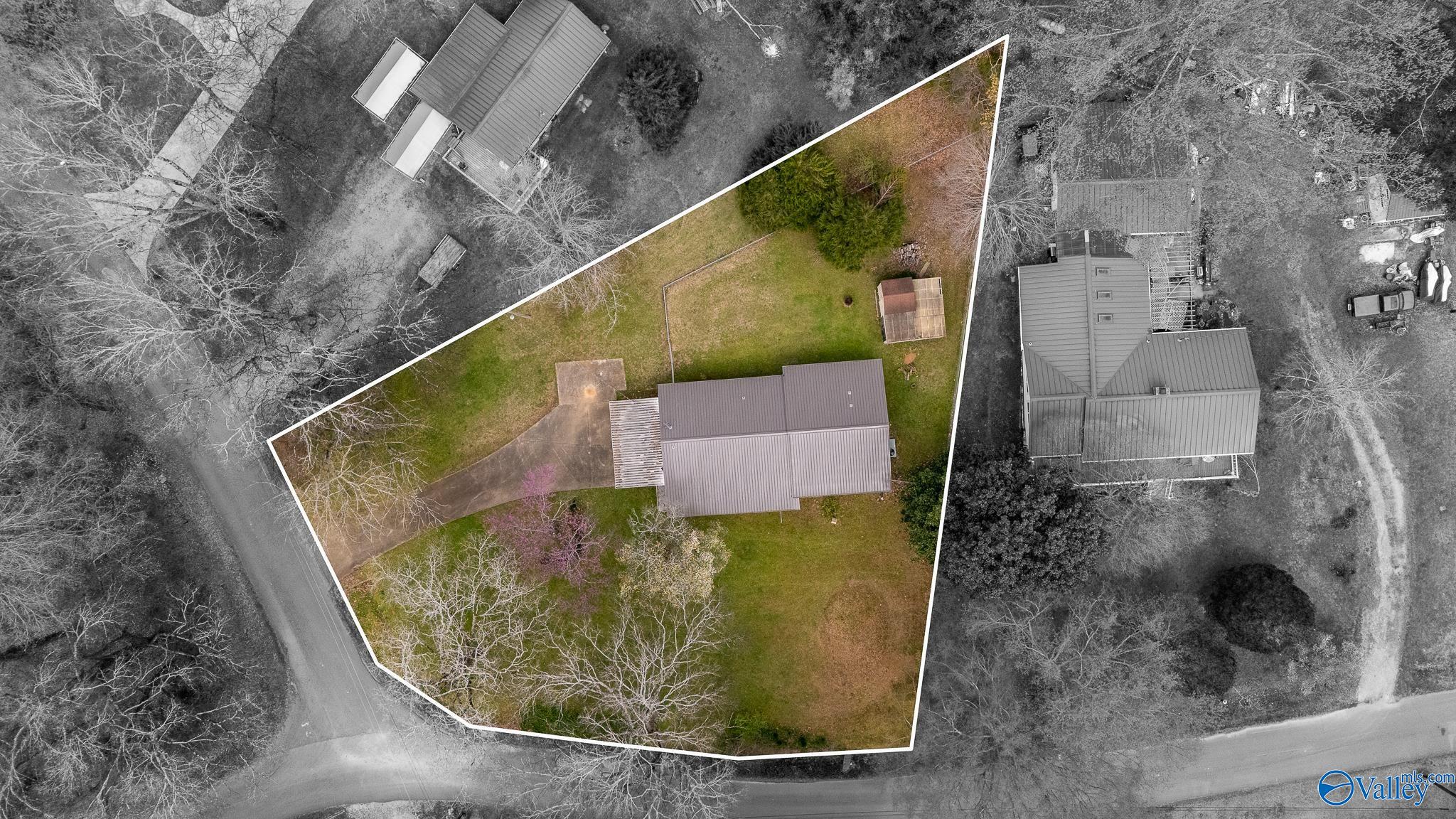 111 Elk River Shores Drive, Rogersville, Alabama image 26