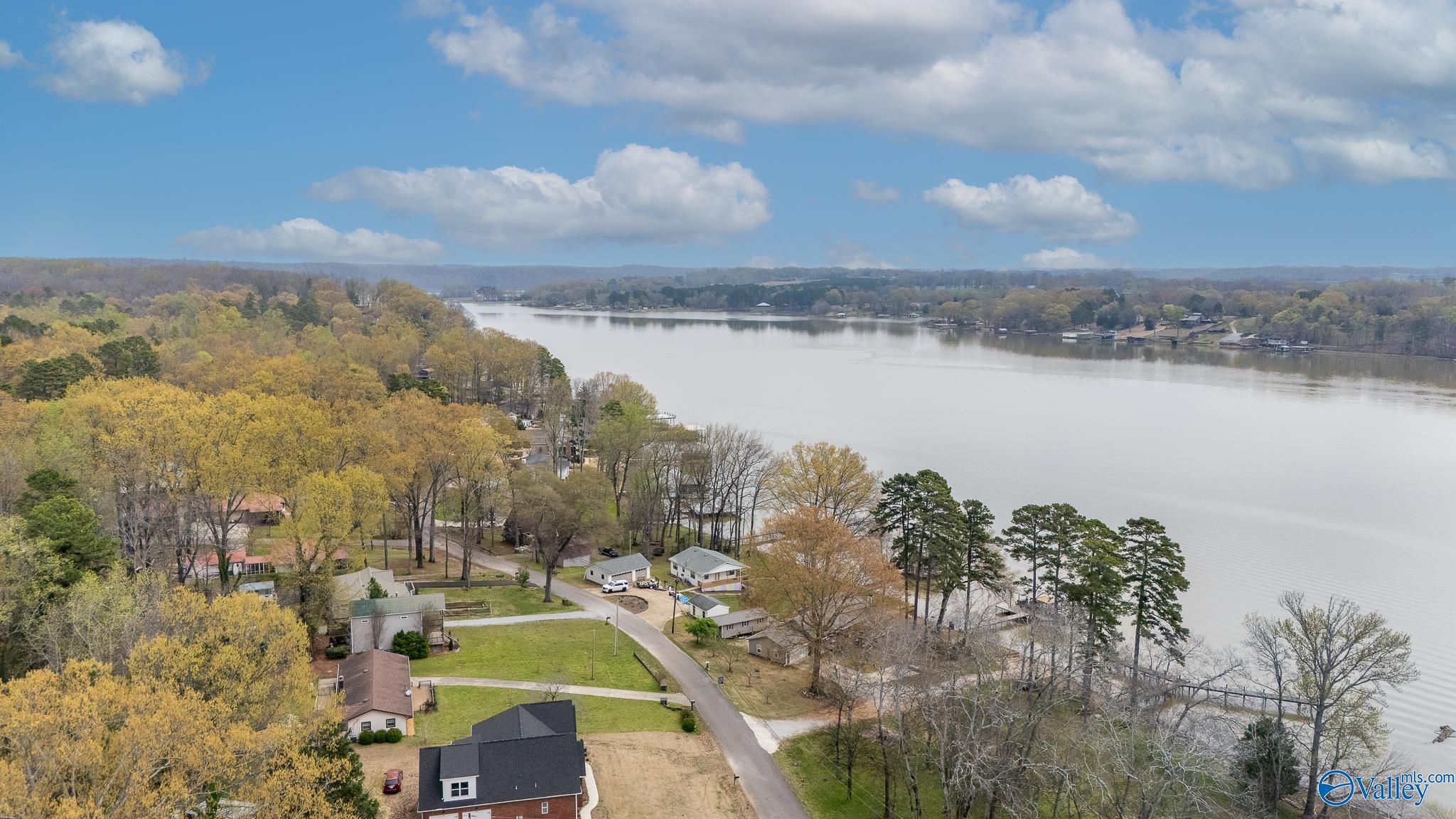 111 Elk River Shores Drive, Rogersville, Alabama image 27