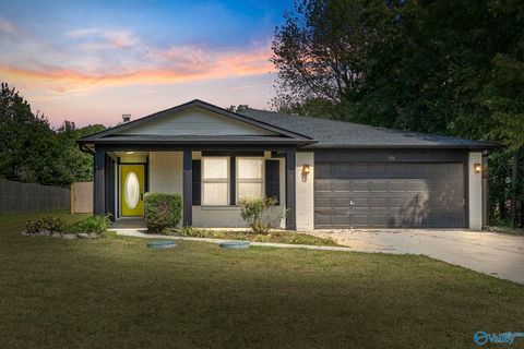 Homes For Sale - 151 Carillo Lane<br/> Toney, AL 35773