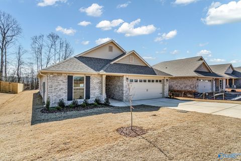 Homes For Sale - 15415 Springbrook Trace<br/> Athens, AL 35611