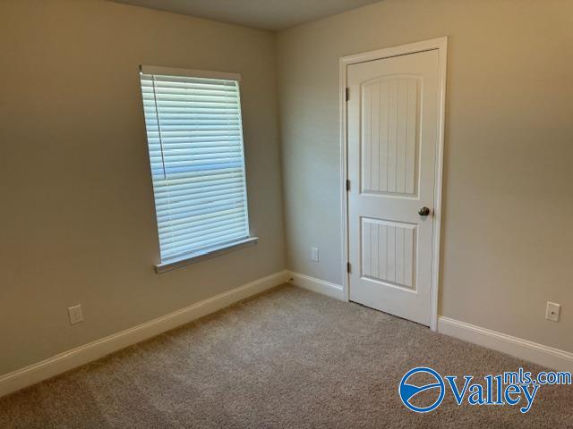 137 Bingham Way, New Market, Alabama image 24