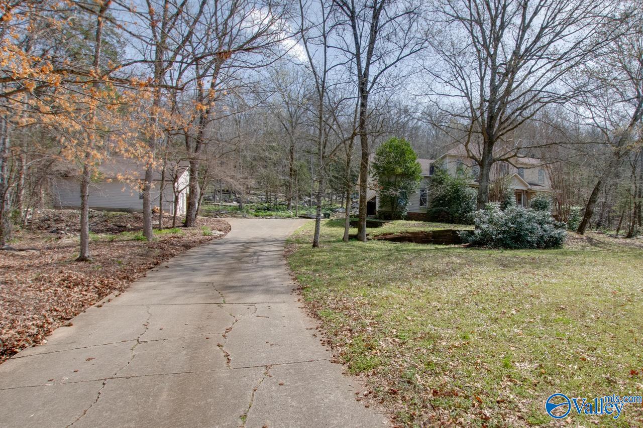 231 Brawley Drive, Owens Cross Roads, Alabama image 13