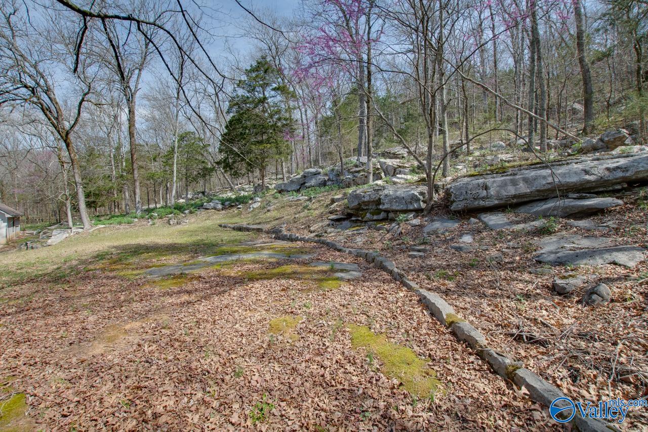 231 Brawley Drive, Owens Cross Roads, Alabama image 8