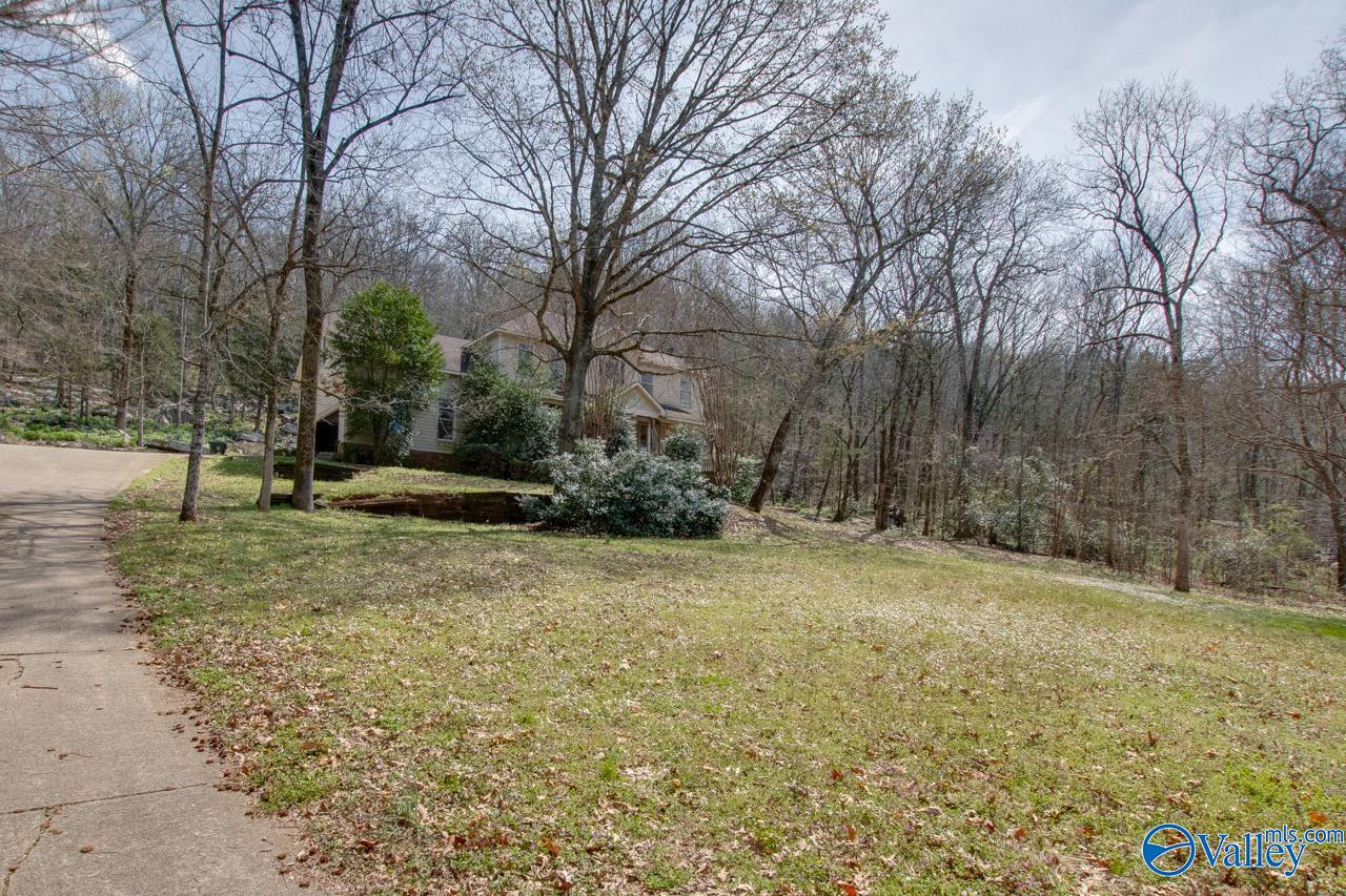 231 Brawley Drive, Owens Cross Roads, Alabama image 14