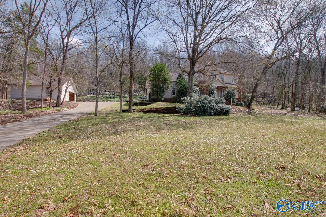 231 Brawley Drive, Owens Cross Roads, Alabama image 1
