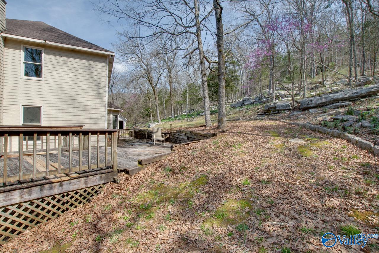 231 Brawley Drive, Owens Cross Roads, Alabama image 5