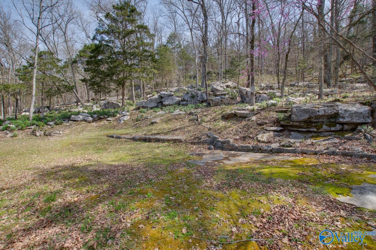 231 Brawley Drive, Owens Cross Roads, Alabama image 9