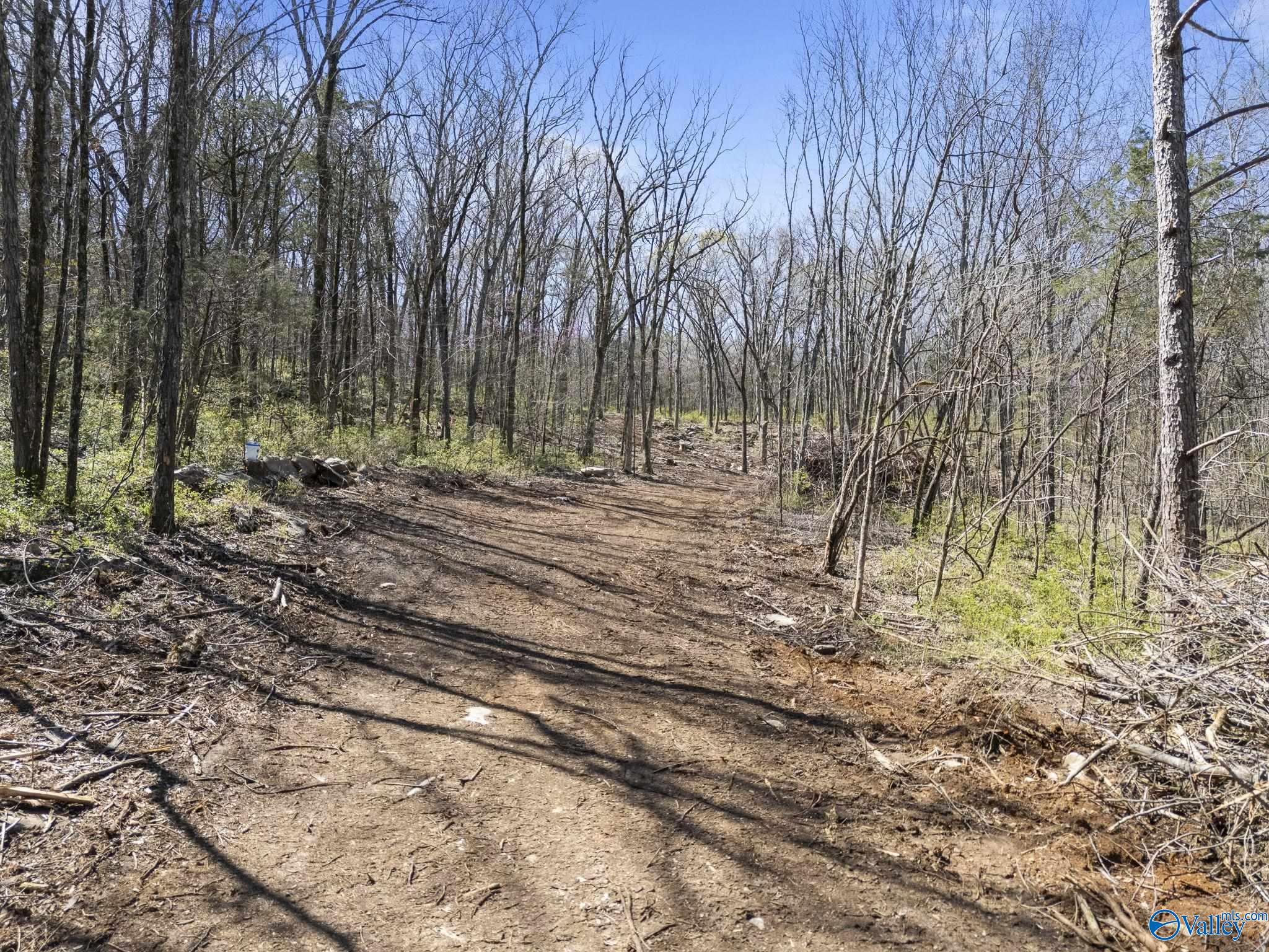 4.6 Acres Pulaski Pike, Huntsville, Alabama image 6