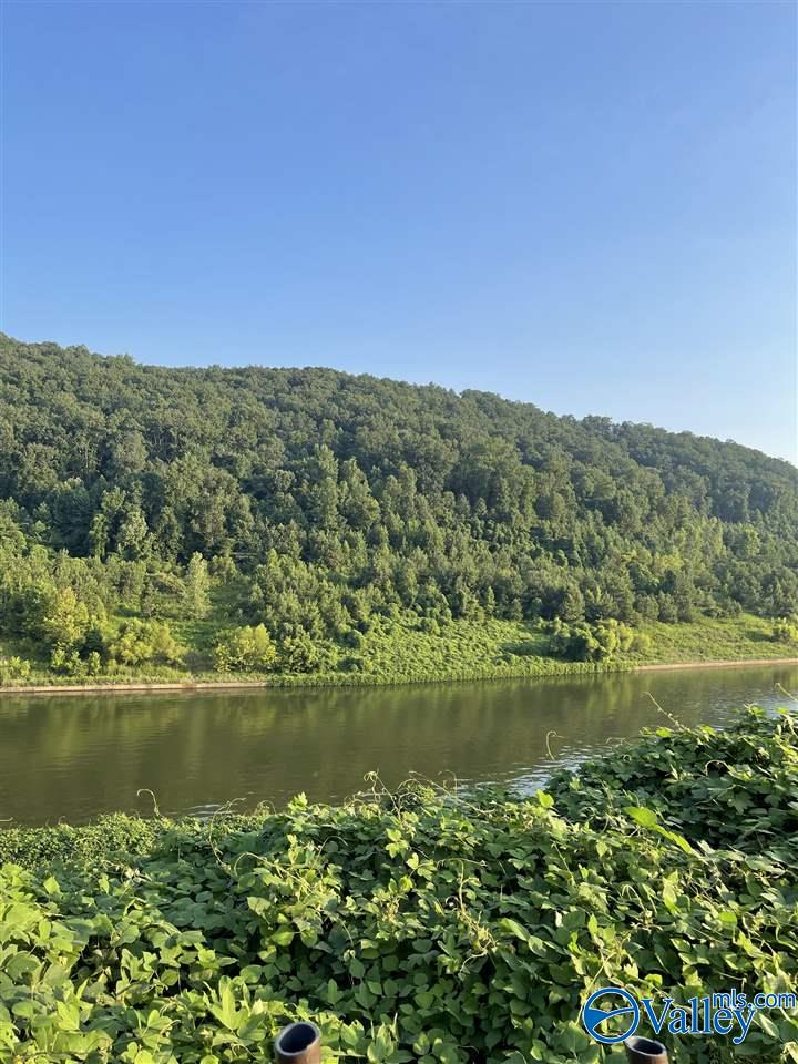 Lot142 Colonial Drive, Guntersville, Alabama image 1