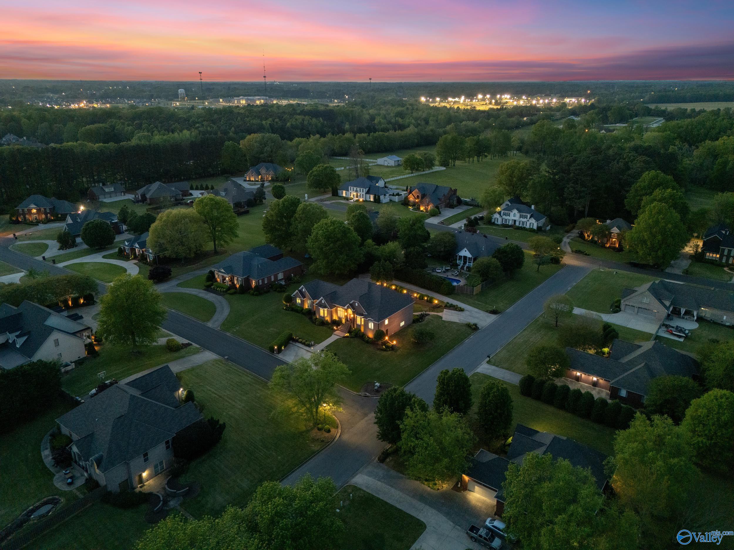 1693 Squire Run, Athens, Alabama image 46