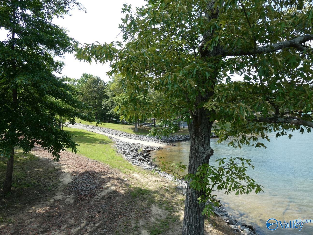 368 County Road 3973, Arley, Alabama image 12